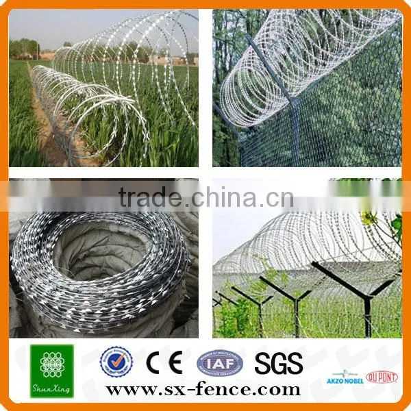 Metal Razor Barbed Wire Low Price Concertina Razor Barbed Wire for Sale photo-3