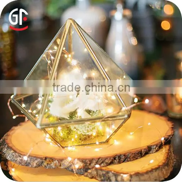 Wholesale Decoration Various Types Camping String Lights LED photo-2