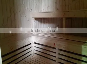 Cheap Factory Price Malaysia Popular Dry Infrared Sauna Room photo-3