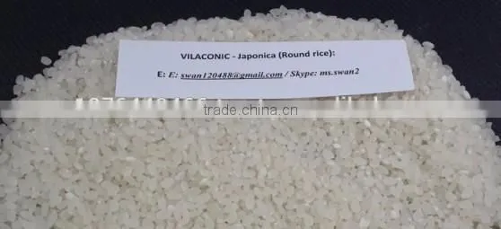 JAPONICA RICE CROP 2015 photo-5