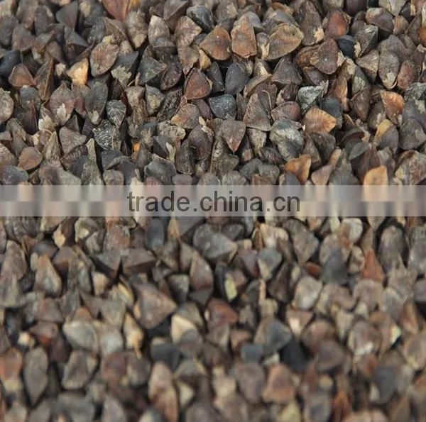 Good Quality Sweet Raw Buckwheat From China photo-2