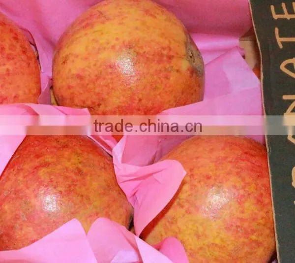 Fresh Sweet Pomegranate Crops 2015 photo-4