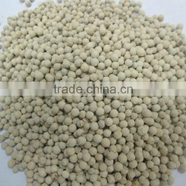 VIETNAM HIGH QUALITY WHITE PEPPER photo-3
