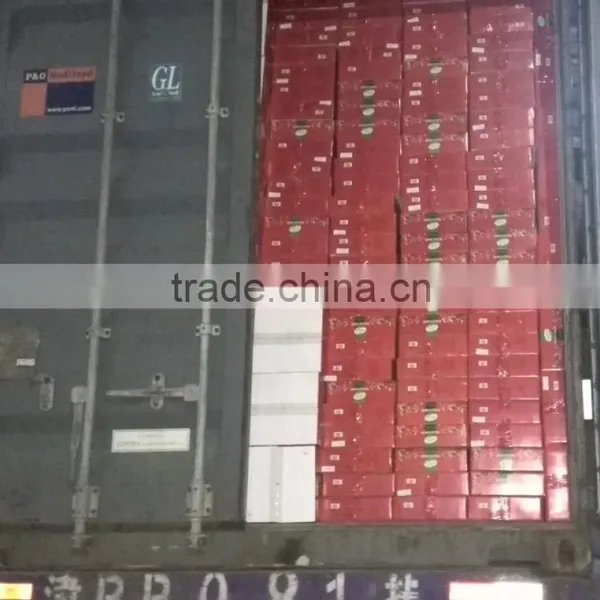 Tomato Ketchup Tomato Paste Price Ton Price of Tomato Paste in Drum photo-5