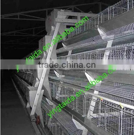 Nests for Hens photo-6