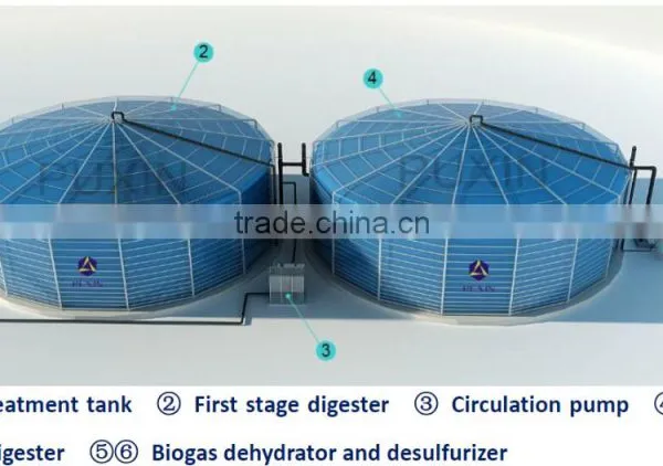 Biogas Power Anaerobic Digester Plant photo-3