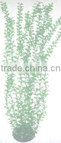 Artificial Plant