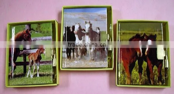 Diary With Horse Design