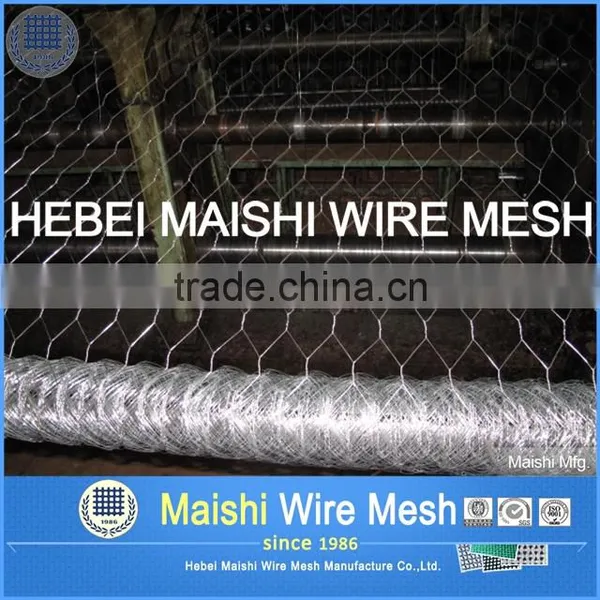 Bird Wire Mesh Hexagonal Weaved Wire Netting photo-4