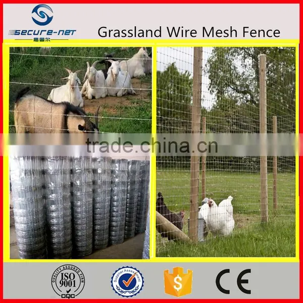 Hot Selling Grassland Fence Automatic Weaving Machine/equipment/system With Low Price photo-3