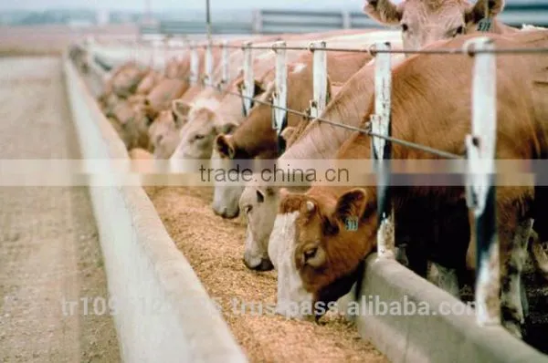 Horizontal Feed Mixer Wagon photo-6