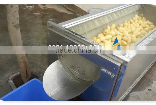 Industrial Brush Type Vegetable and Fruit Washing Machine photo-6