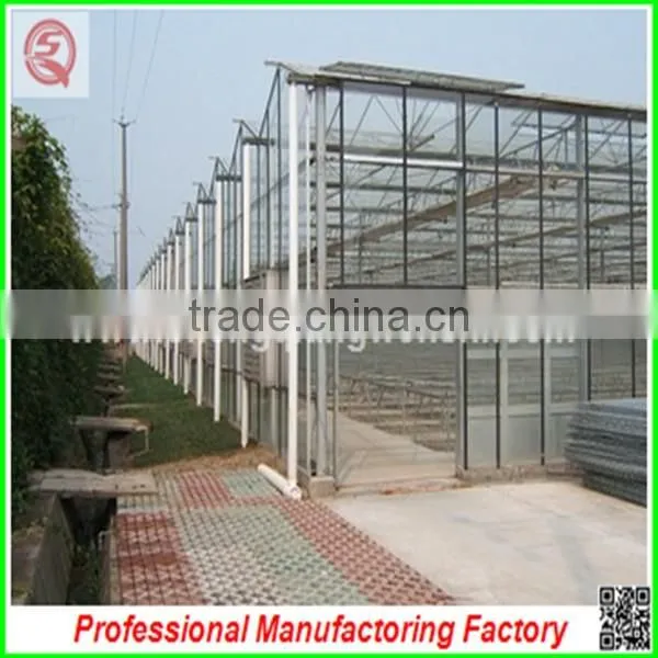 Agriculture Farm 10.8m Multi-span Commerical Greenhouse Glass With Hydroponic System