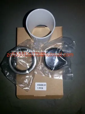 KS559.01 Peugeot 405 Repair Kit Bearing photo-2