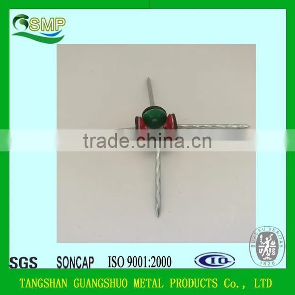 Common Nails/Concrete Steel Nail/Roofing Nail China Manufacturer photo-3