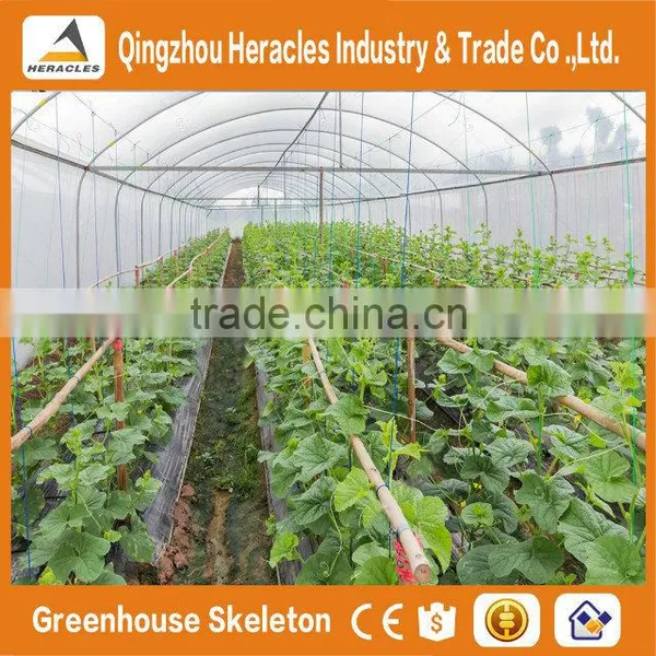 Trade Saaurance Low Cost Agricultural Greenhouse Equipment - 200 Micron uv Resistant Plastic Film for Greenhouses photo-6