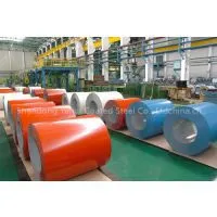 PPGI/PREPAINTED GALVANIZED STEEL COIL photo-2