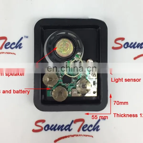 Electronic Components Alert Sound Device for Car photo-6