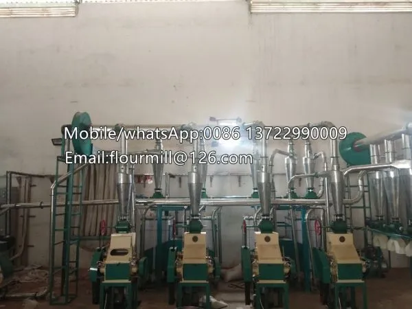 15TPD Corn Mill Grinder Ugali Making Machine Flour Mill photo-4