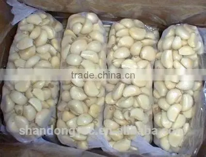 Wholesale Fresh Garlic Cloves Price photo-4