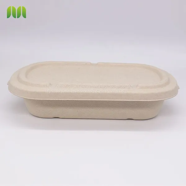 New Hot Disposable Biodegradable Single Compartment Salad Box Bagasse Food Box Take Away Sugarcane Container photo-3
