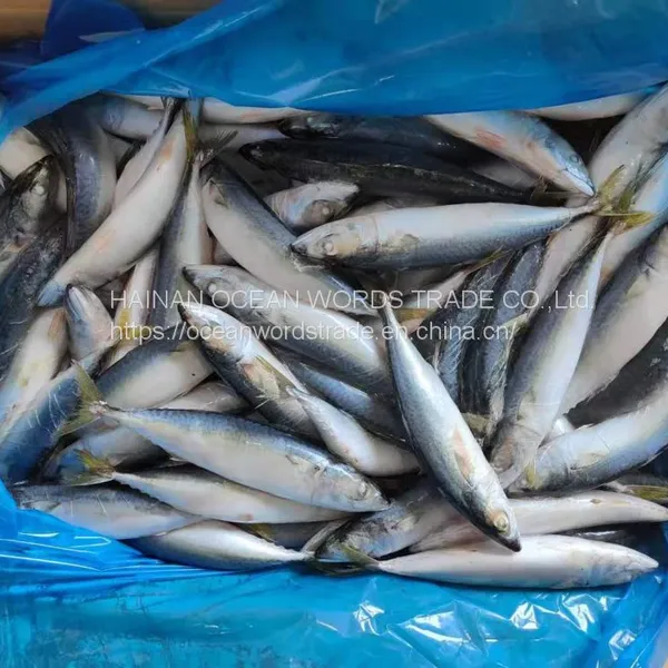 Pacific Mackerel 100-200 photo-4