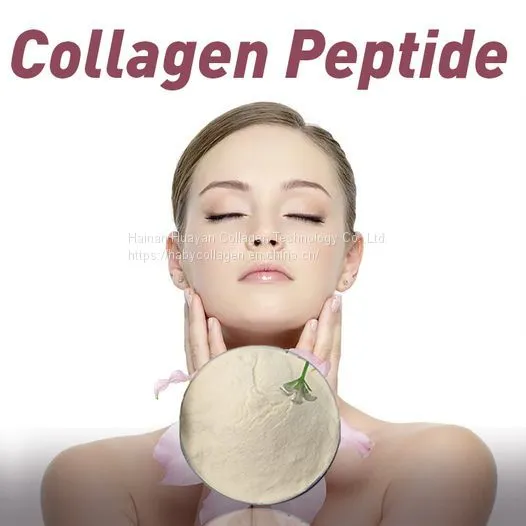 Wholesale Halal Approved Bulk Marine Fish Hydrolyzed Collagen Powder Fish Collagen Peptide Powder Raw Material