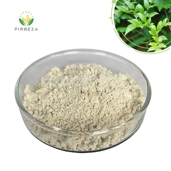 Wholesale Price Pure Natural Vine Tea Extract Powder 30% 50% 98% DHM Dihydromyricetin