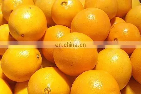 Citron Lemon Cutter and Peeling Machine Skiving Machine Peeler Industrial Machine photo-4