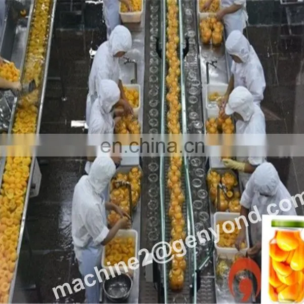 CHINA NEW ARRIVAL Vegetables Production Line Fruits and Vegetables Production Line photo-2