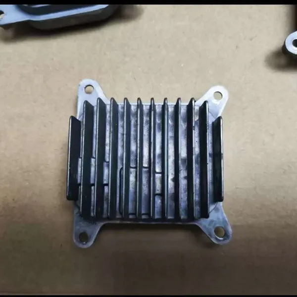 Tesla Model 3 and Model Y headlight modules