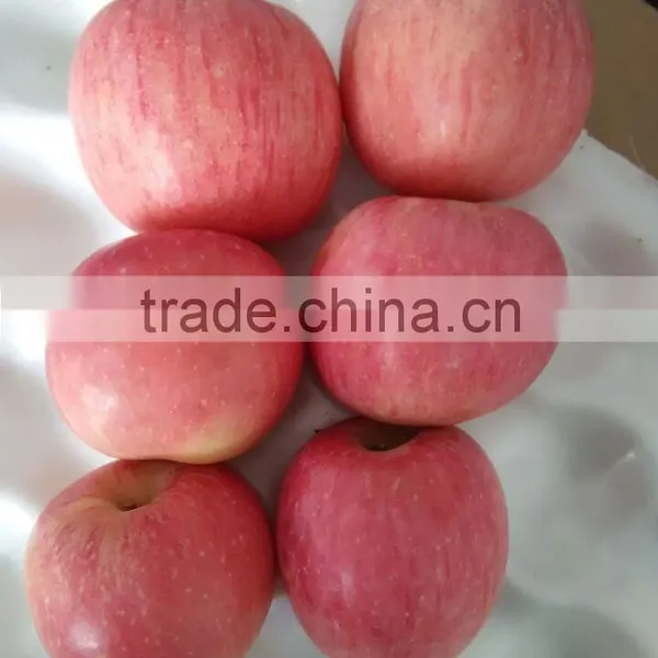 Top Quality Fresh Red Fuji Apple photo-2