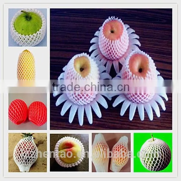 Fruit And Vegetable Packing Net photo-3