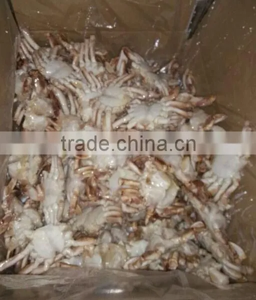 Foods of Crab photo-3