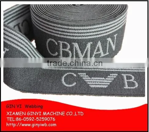 High Tenacity Custom Nylon Polyester Underwear Jacquard Elastic Webbing photo-3