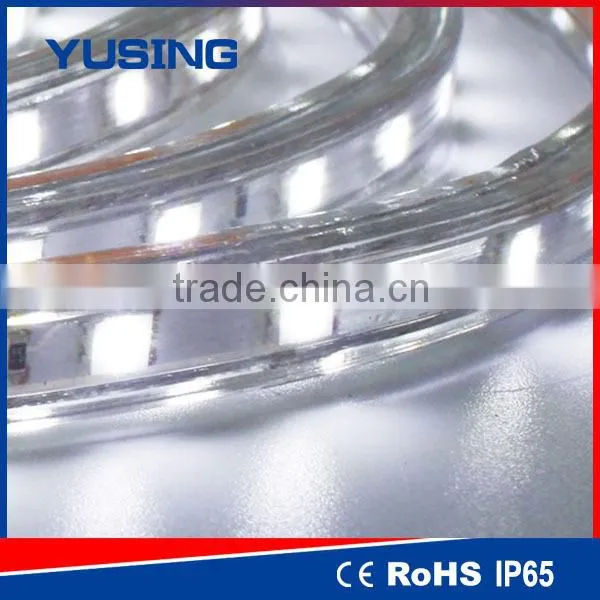 2 Years Warranty High Bright SMD 5050 High Voltage LED Strip 220V 110V photo-2