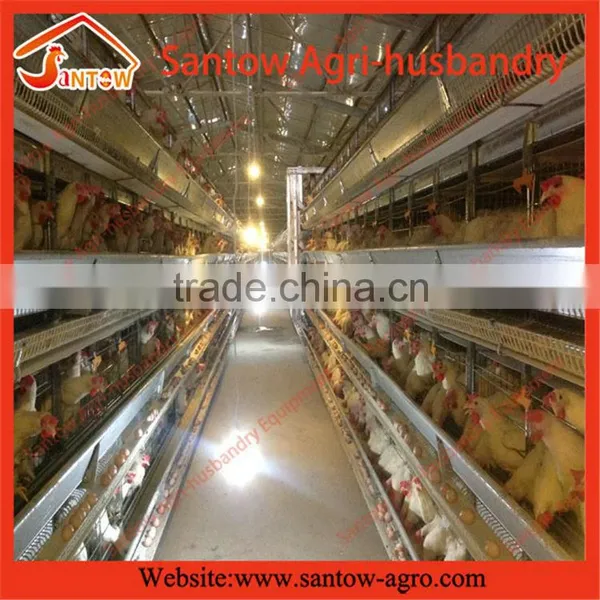 Supply Modern Poultry Heater Equipment/iran Poultry Poultry Equipment. photo-3