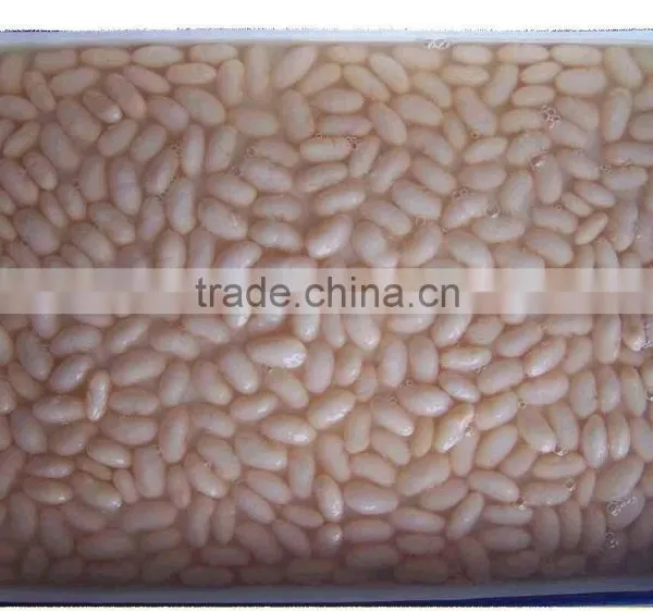 Canned White Beans in Brine With Best Price