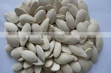 Roasted Salted Shin Skin Pumpkin Seeds photo-2