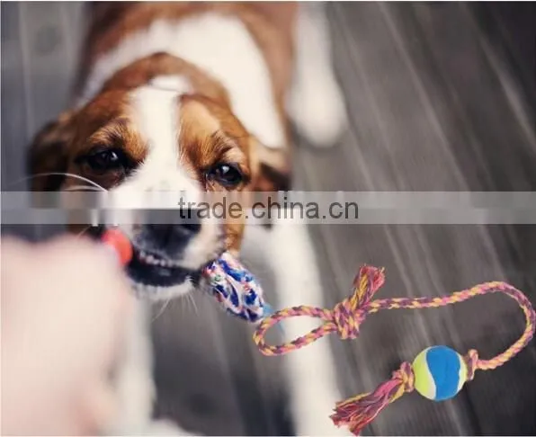 Hot Sale Two Knots Cotton Rope Strengthen Wholesale Dog Toys photo-6