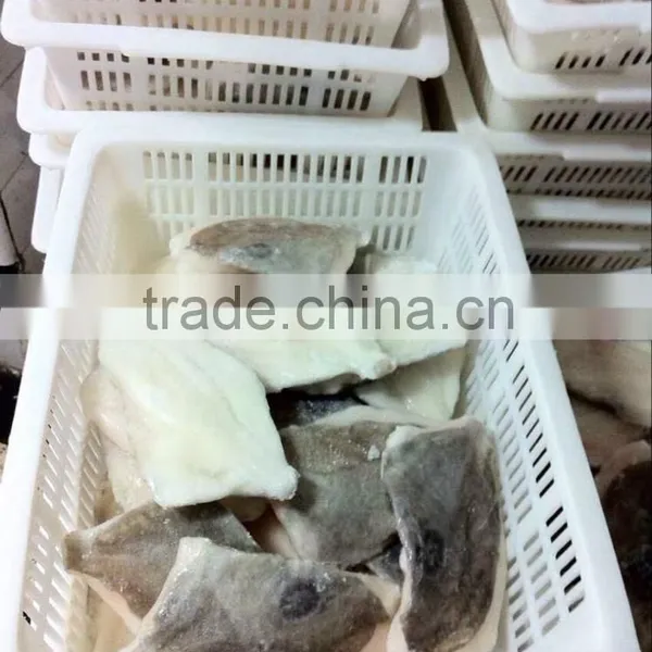 Fresh Frozen John Dory Fillet 150-200g Good Quality photo-3