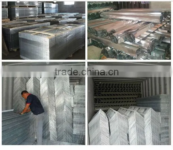 Quail Battery Cages for Sale Poultry Battery Cages Chicken Cages photo-5