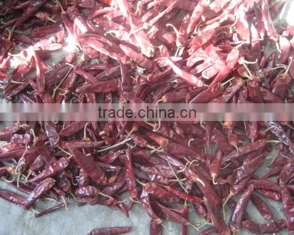 Chilli photo-3