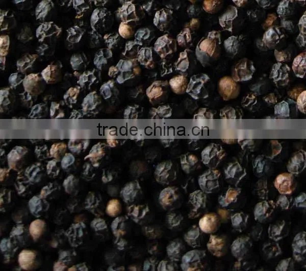 Best Sale 100% Natural High Quality Whole Black Pepper photo-6