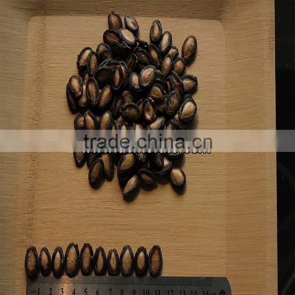 Wholesale Black Watermelon Seed photo-3