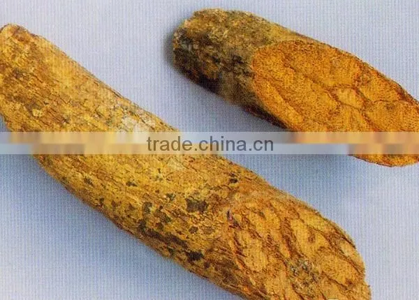 Dried Caulis Erycibes