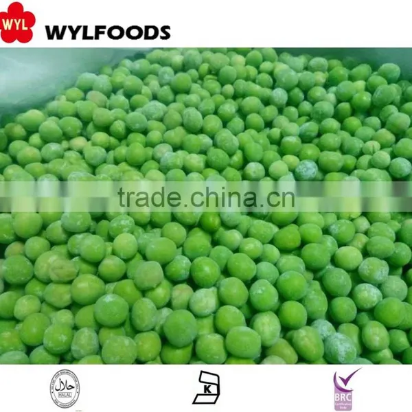 Good Price Frozen Baby Oyster Mushroom 2016 With Grade A photo-6