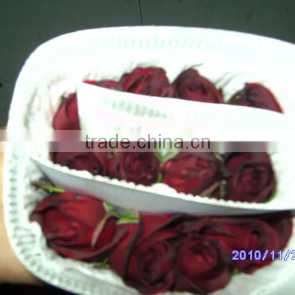 Wholesale High Grade Fresh Cut Black Rose Flowers From Kunming Plants Base photo-3