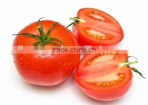 High Purity Tomato Seeds Seeds for Sale