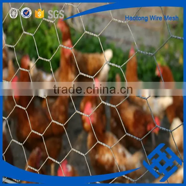 Useful Fish Trap Hexagonal Wire Mesh photo-5